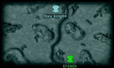 Minimap