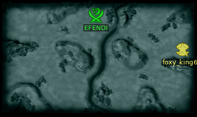 Minimap