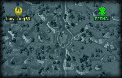 Minimap