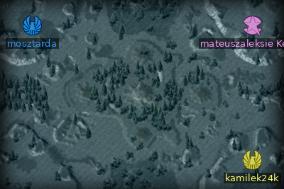 Minimap