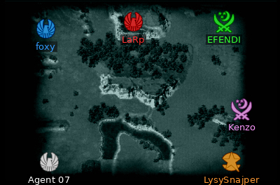Minimap