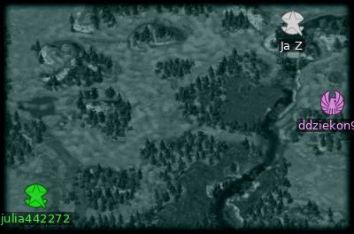 Minimap