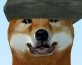 Boltairex
