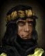 ^CoMaNdOr^