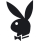 -Rabbit-